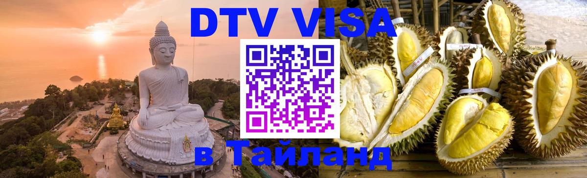 Оформление DTV визы под ключ: стоимость и тарифы, только загранпаспорт - Тамбов 